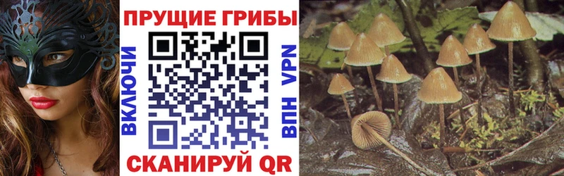 Псилоцибиновые грибы Magic Shrooms  Купить закладки  Нефтегорск 